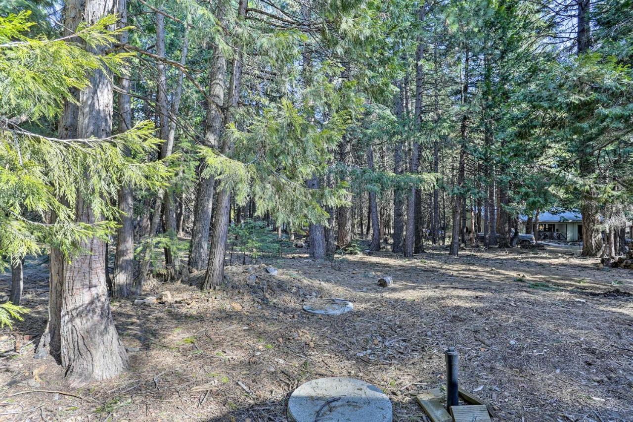 Base Camp Lassen Home 13 Mi To Volcanic Natl Park Shingletown Екстер'єр фото